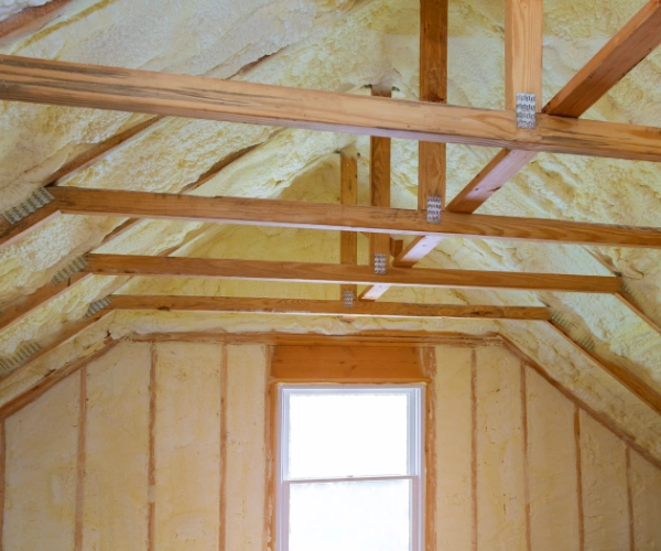 Insulation Inspection