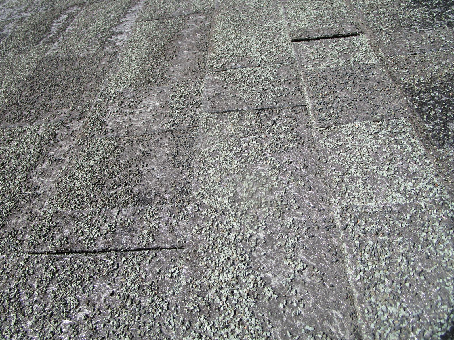Roof Failure Indicators with Total Loss Granule Protection